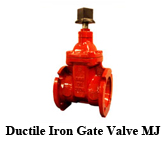 Ductile Iron Gate Valve MJ