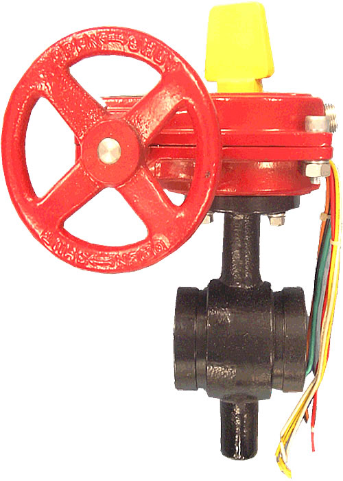 4" Grooved Butterfly Valve W/ Switch